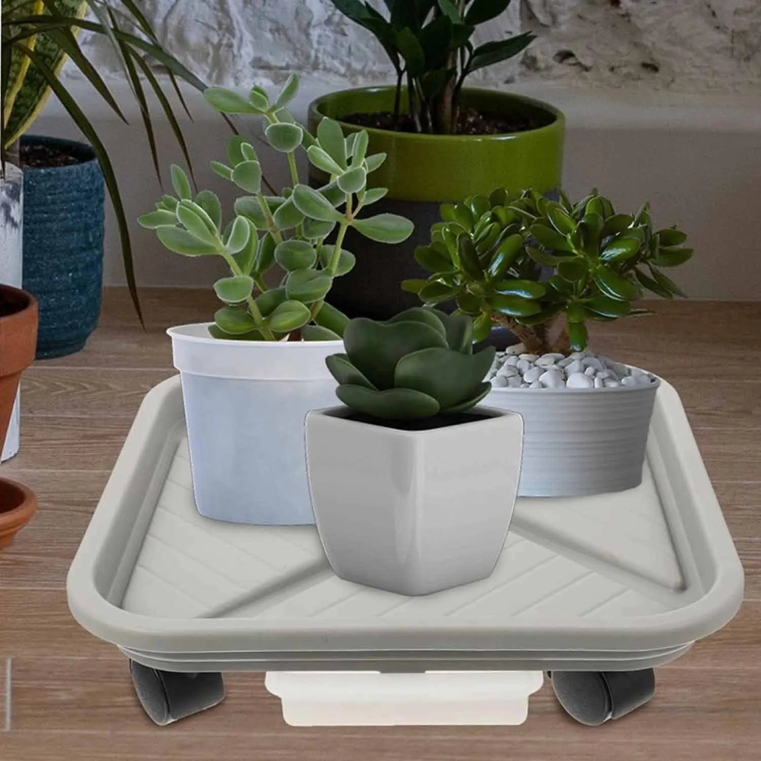 A Plant Ball Cage with Four Wheels and A Drainage Tray, A Square Flower Pot Mover, A Wheeled Garden Rolling Plant Rack