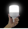 Trail Beam 650 Lantern Bulb