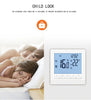 Programmable Digital Boiler Thermostat