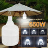 Trail Beam 650 Lantern Bulb