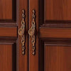 Shelves Desk Wardrobe Storage Organizer Partitions Bedroom Clothes Closet Shelf Door Jewelry Small Guarda Roupa Home Furniture