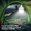 Trail Beam 650 Lantern Bulb
